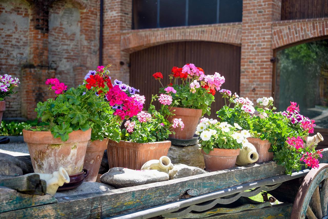 Cascina San Bernardo Villa Magliano Alfieri Екстериор снимка